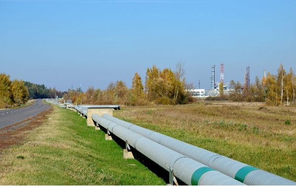 Elementos de la red gasista por los que puede circular el biometano