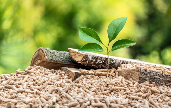 Bioenergía a partir de los residuos forestales y agrícolas