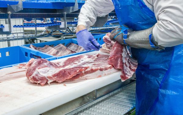 Biogás a partir de residuos sandach