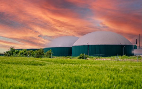 El sector agropecuario, clave para la producción de biometano autóctono