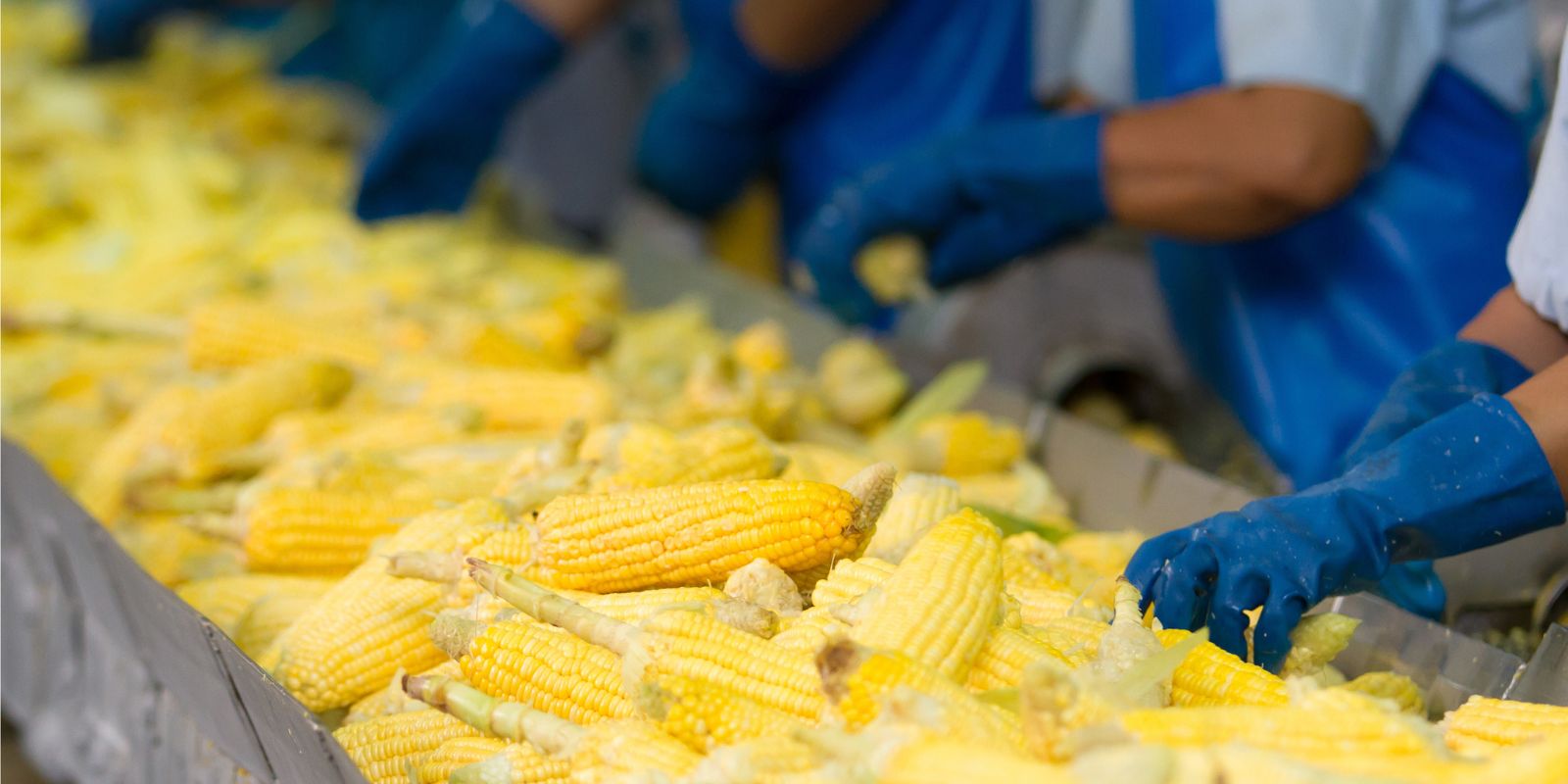 Transformando los biorresiduos de la industria alimentaria en energía